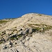 Ein Fixseil hilft über eine plattige Steilstufe kurz unter dem Gipfel