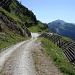 Primo tratto di discesa verso l'Alpe di Pontino.