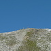 Il Pass de Omenit già visibile dall'Alp de Confin...