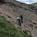 Abstieg vom Precipice Peak - Hangquerung unterhalb der Höhlen. Heraus aus aus dem Geröll - hinein ins Gras.