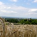 Blick über eines der zahlreichen Getreidefelder nach Basel