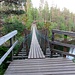 Holzstege, Brücken und Treppen machen die Wanderung zu einem Spaziergang