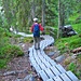 Aufwändige Treppenkonstruktionen führen durch den Wald