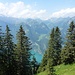 Idyllischer Aufstieg weit oberhalb des Urnersees