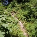 ..links durch gut sichtbaren Weg hinauf 