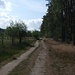 Das nennt sich offiziell Fernradweg - WEserHarzHeide in der Lüneburger Heide