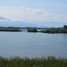 Lagune im Naturschutzgebiet Rheindelta