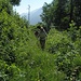 unterhalb von Ussolo geht es auf unmarkiertem Weg ins Tal