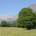 Blick von Frere aus zum Talende 