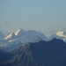 Die Berninagruppe ragt über dem Valbellahorn auf. Schön zu erkennen der Biancograt