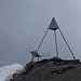 Gipfelfoto Titlis ( 3238m )