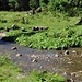 ......und Spielplatz für die Kleinen