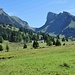 die Sichel