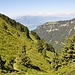 .....wild. Und dann spektakuläres Panorama...............