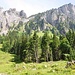 kaum zu glauben dass hier ein Weg nach oben führt