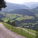 Fahrweg zur Buchel Alpe (1277m)