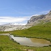 Wollblumen säumen den Teich zwischen Pass und Sanetschsee;
im Hintergrund der Glacier de Tsanfleuron