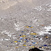 everes Base Camp am Beginn des Khumbu Eisfalls, Startpunkt der Besteigungen von Everest und Lotse
