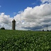 Auf dem höchsten Punkt des Hügels liegt der weit herum sichtbare Wasserturm von Grandcour.
