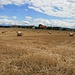 Abgeerntetes Getreidefeld vor den Häusern von Sévaz.
