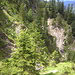 Wildes Vorkarwendel.