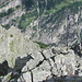 Blick hinunter in die Nordflanke