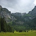 Typisch für die Ammergauer Alpen: Wald, Wiese und Fels auf engstem Raum.