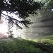 Im Aufstieg durch Mosshalte drücken die ersten Sonnenstrahlen vom Verbrannte Wald her durch