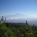 Blick hinüber zum Kilimanjaro (ca. 30km Luftlinie)