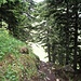 Wanderweg zum Stucklichrüz