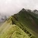 Arnigrat<br />Astelhorn