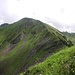 Wengenhorn