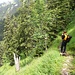 Wanderweg zurück zur Alp Mettental
