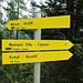 Bei Wildeben kann man nach rechts auf (gebahnter, bequemer?) Almstraße nach Kampl hinunterwandern oder - so wie ich - nach links .....