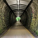 Der Riedentunnel (ebenfalls Teil der alten  [http://de.wikipedia.org/wiki/Bregenzerwaldbahn Bregenzerwaldbahn]) wird heutzutage als Fuss- resp. Veloweg gebraucht