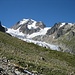 Pointe de Tré-la-Tête et le Glacier de la Lé Blanche