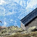 Ein Steinbock ist unbeeindruckt vom Trubel um die [hut6331 Bordierhütte SAC] und geniesst die Aussicht