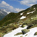 vorne der Wanderweg zur Hütte,oberhalb Blacki.