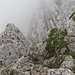Die Ausstiegsrinne von oben gesehen. Unten ist das schmale Schuttband zu erkennen, welches zu den Felsplatten führt.<br /><br />Foto aufgenommen auf der Rekotour am 25.07.2011.