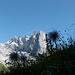 Alpenflora und Chalchschijen