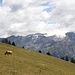 <b>L'Adula oggi è incappuciata.</b>