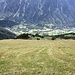<b>I ripidi prati di Gariva sono appena stati falciati.</b>