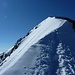 Similaun, der Gipfelgrat - links von uns die steile Nordwand