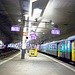 Die Ferien beginnen wie immer in der «Höhle» des Berner Hauptbahnhofs (Aufnahme vom 3. August 2011). Vor nunmehr 50 Jahren wurde der erste Teil der Perronüberdachung im Bereich des Perrons 6 (Gleise 12/13 - links im Bild) fertiggestellt. 5 Jahre später war dann die gesamte Gleisanlage überdacht.