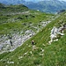Aufstieg zum Karrenfeld unterhalb des Altmanns. Im Hintergrund die Zwinglipasshütte.