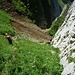 Abstieg vom Schafbergsattel auf dem "Suizidwegli"