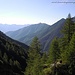 Boschi e verde della bella Val Bognanco 