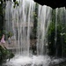 Wasserfall im Ginger Garden