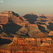 Grand Canyon dai dintorni della Yavapai Observation Station al tramonto