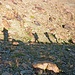 Schattenmänner und -frauen beim Aufstieg über die steile Moräne.